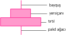 pyramid)of_numbers_2