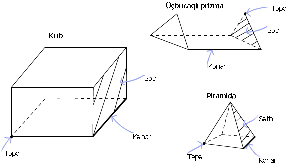 3d1nets