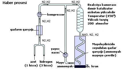 11.6_using_a_catalyst