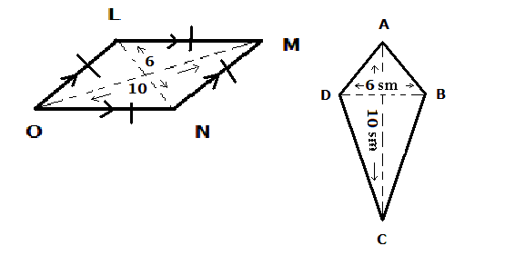 length and area7